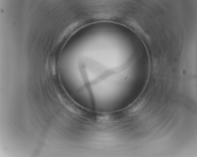 X0000060750068200511241714