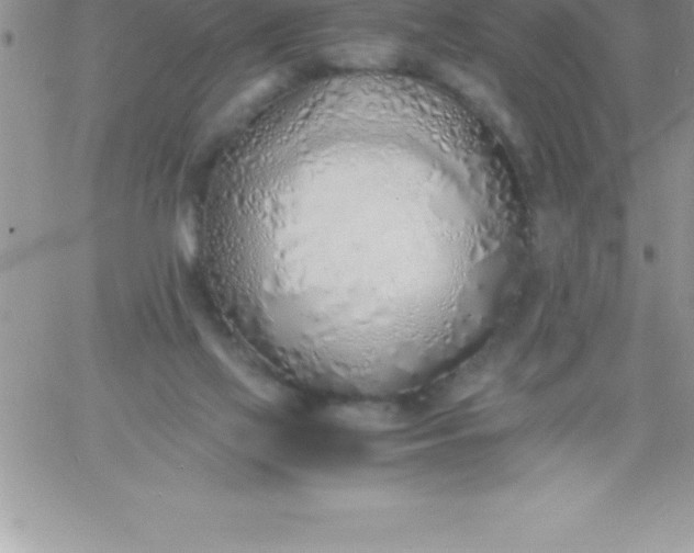 X0000060750069200511241714