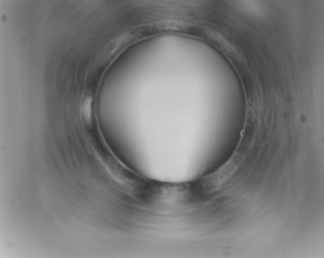 X0000060750070200511241714