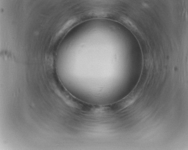 X0000060750072200511241714