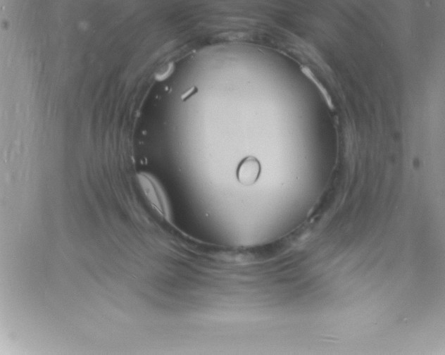 X0000060750073200511241714