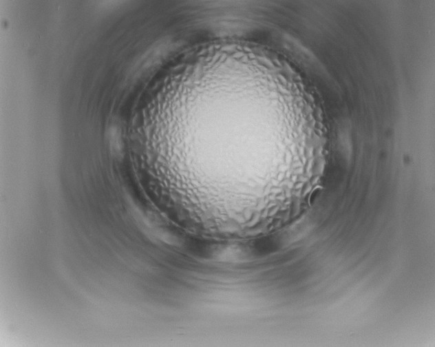 X0000060750074200511241714