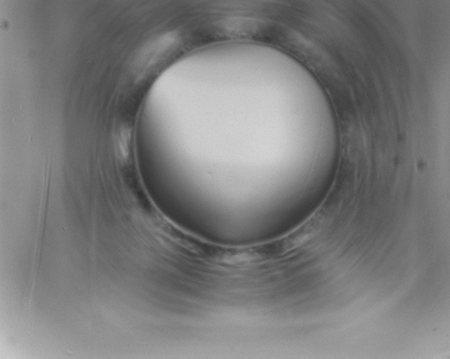 X0000060750075200511241714