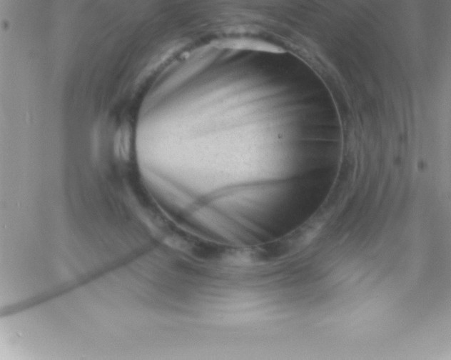 X0000060750076200511241714