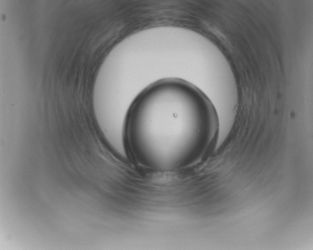 X0000060750077200511241714