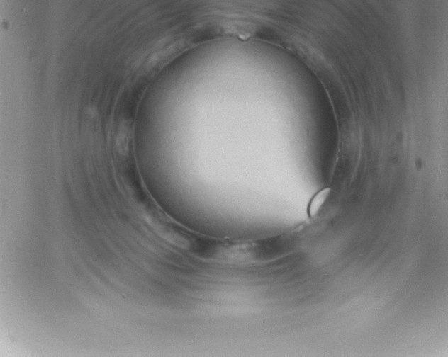 X0000060750078200511241714