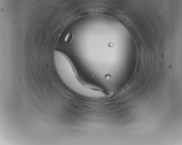 X0000060750079200511241714