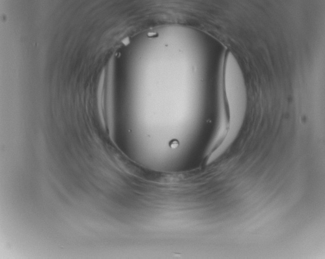 X0000060750080200511241714