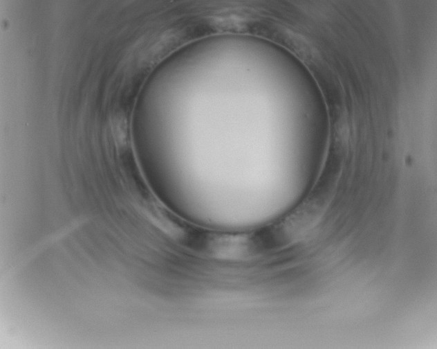 X0000060750081200511241714