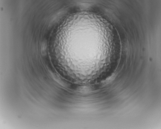 X0000060750082200511241714