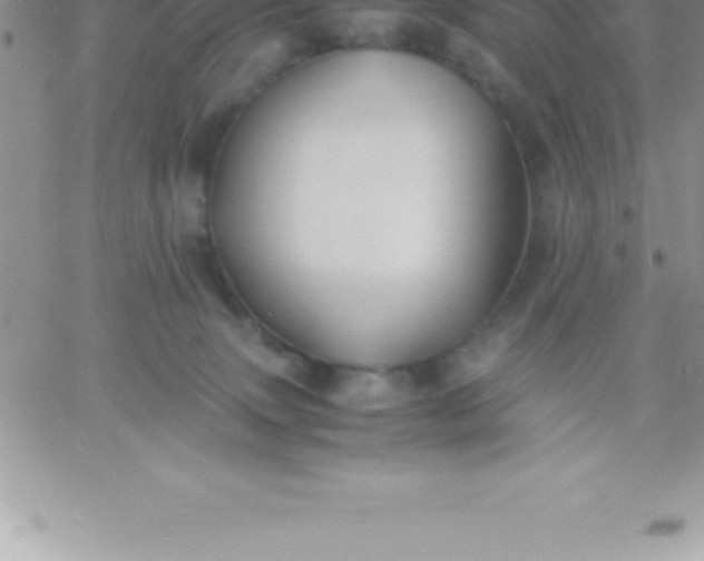 X0000060750083200511241714