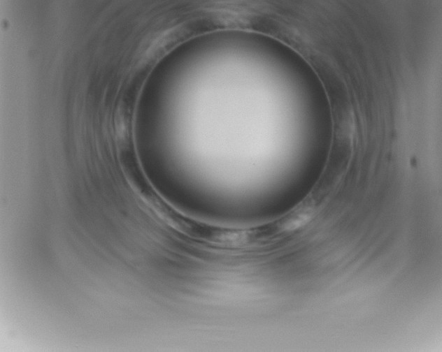 X0000060750084200511241714