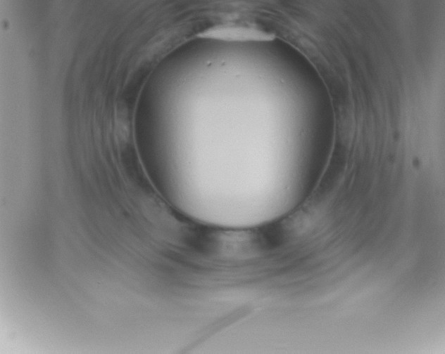 X0000060750085200511241714