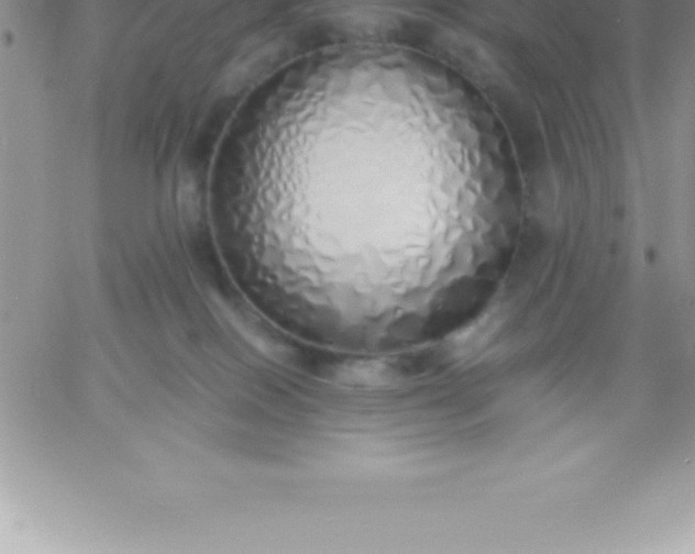 X0000060750086200511241714