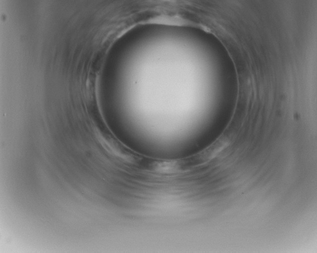 X0000060750088200511241714