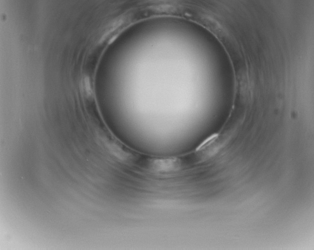 X0000060750089200511241714