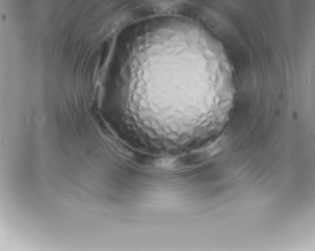 X0000060750090200511241714