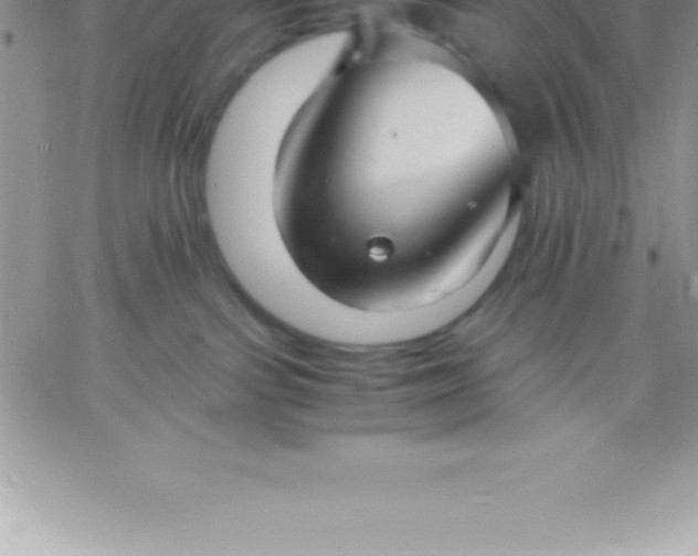 X0000060750091200511241714