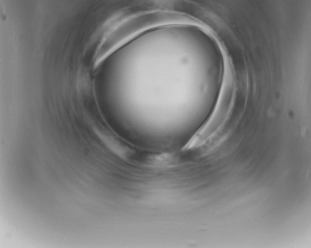 X0000060750092200511241714