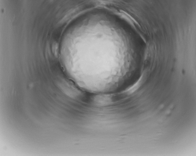 X0000060750094200511241714