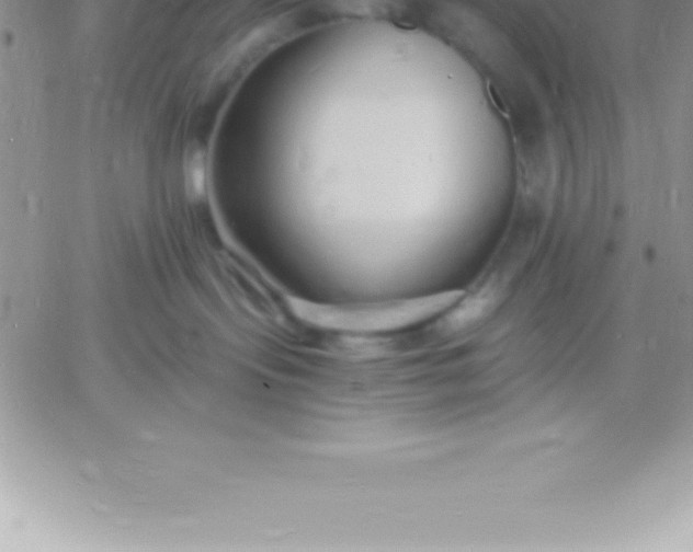 X0000060750095200511241714