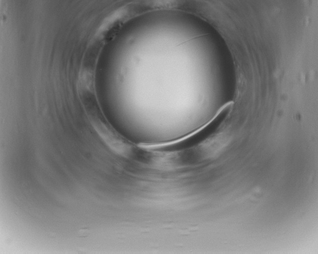 X0000060750096200511241714