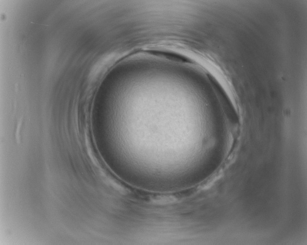 X0000060750097200511241713