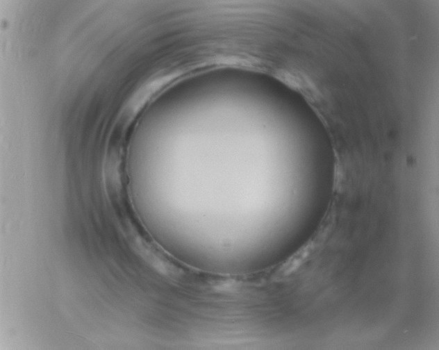 X0000060750098200511241713