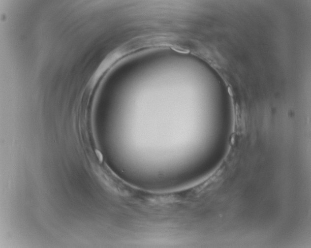 X0000060750099200511241713