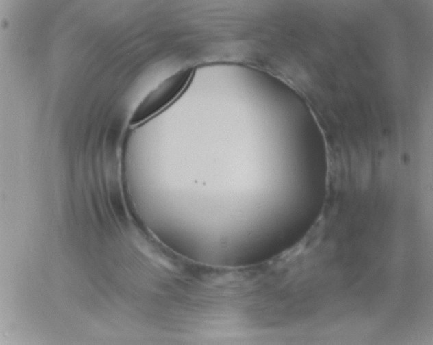 X0000060750100200511241713