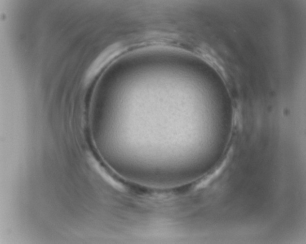 X0000060750101200511241713