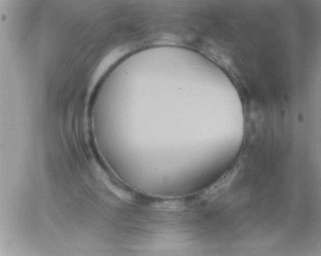 X0000060750102200511241713