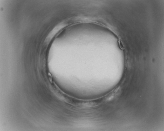 X0000060750103200511241713