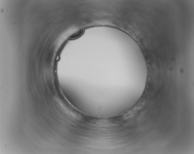 X0000060750104200511241713