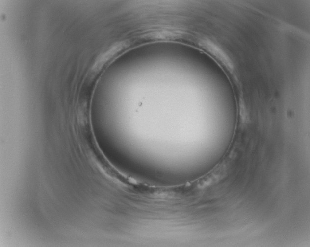 X0000060750105200511241713