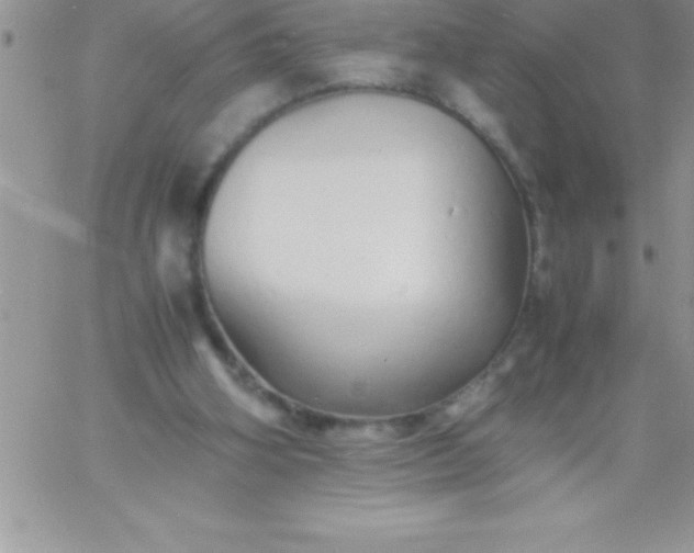 X0000060750106200511241713