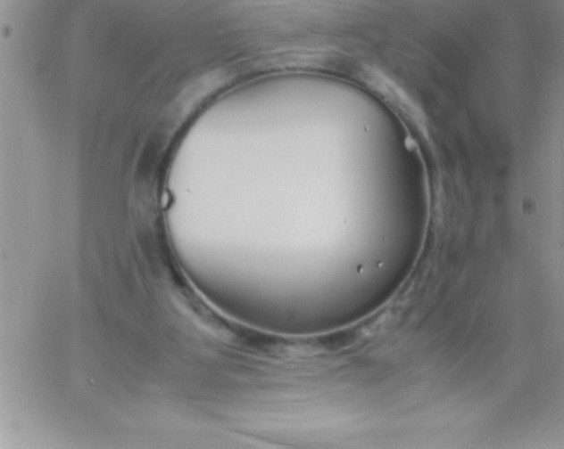 X0000060750107200511241713