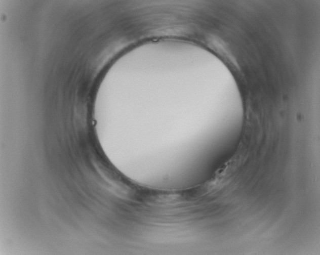 X0000060750108200511241713