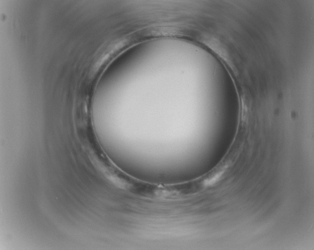 X0000060750109200511241713