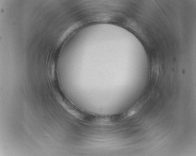 X0000060750110200511241713