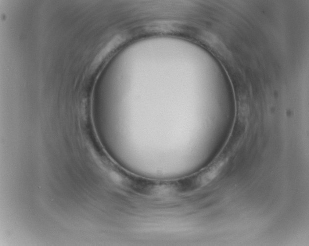 X0000060750111200511241713