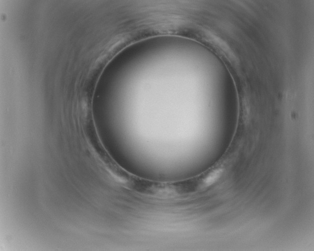 X0000060750113200511241713