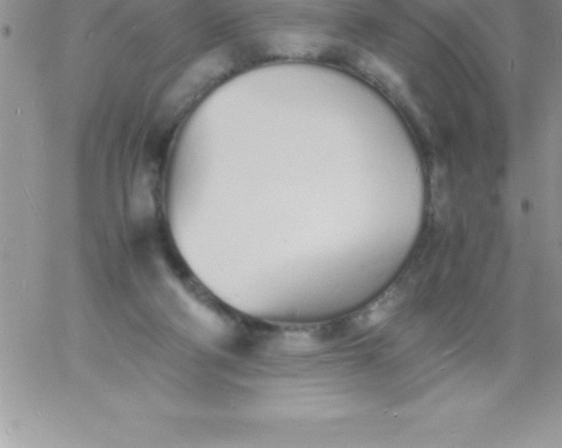 X0000060750114200511241713