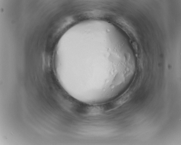 X0000060750115200511241713