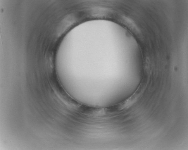 X0000060750116200511241713