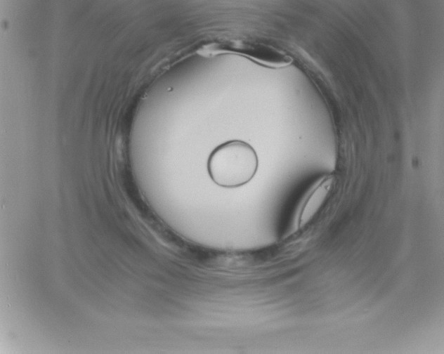 X0000060750117200511241713