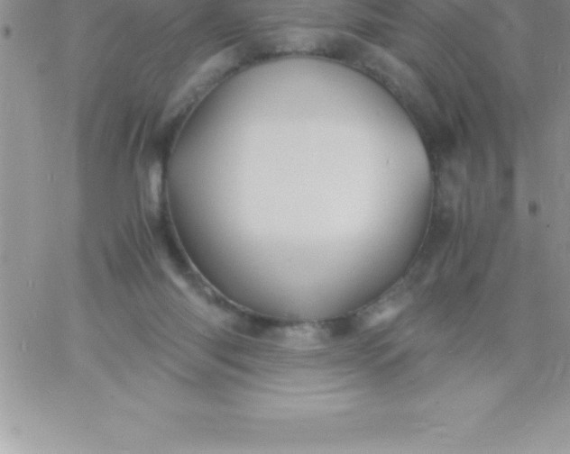 X0000060750118200511241713