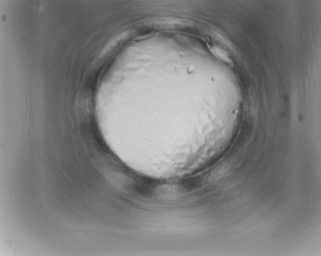 X0000060750119200511241713