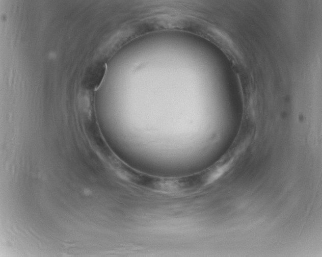 X0000060750121200511241713