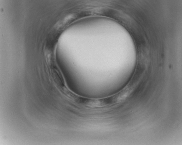 X0000060750123200511241713